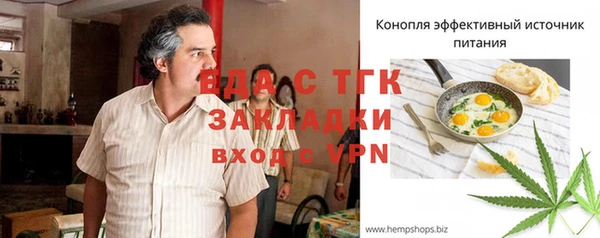 хмурый Алексин