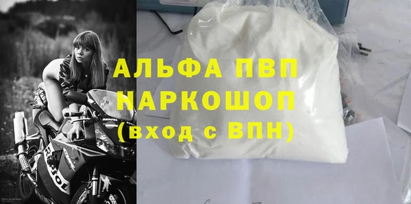 хмурый Алексин