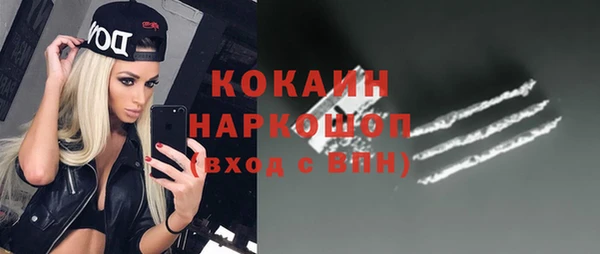 хмурый Алексин