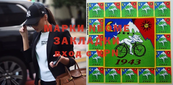 хмурый Алексин