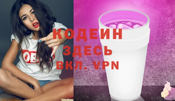 хмурый Алексин