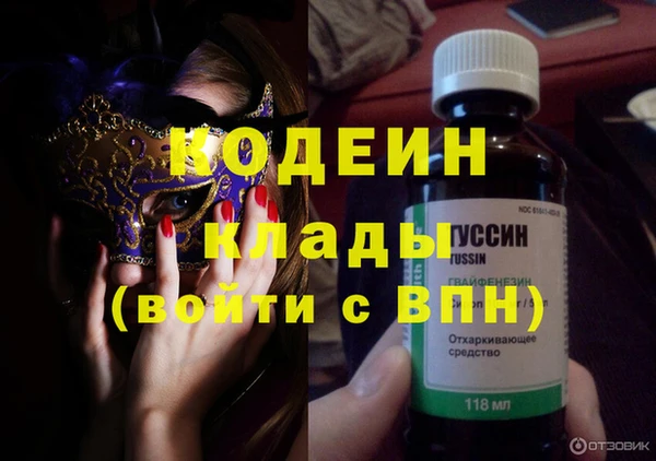 хмурый Алексин