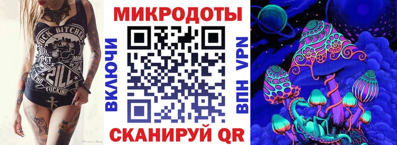 Псилоцибиновые грибы Psilocybe Динская